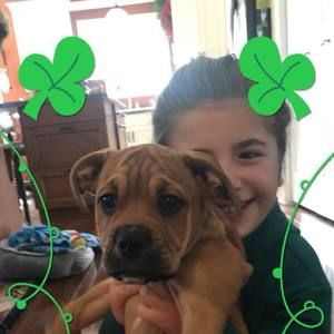 Meet your Posher, Jeannine